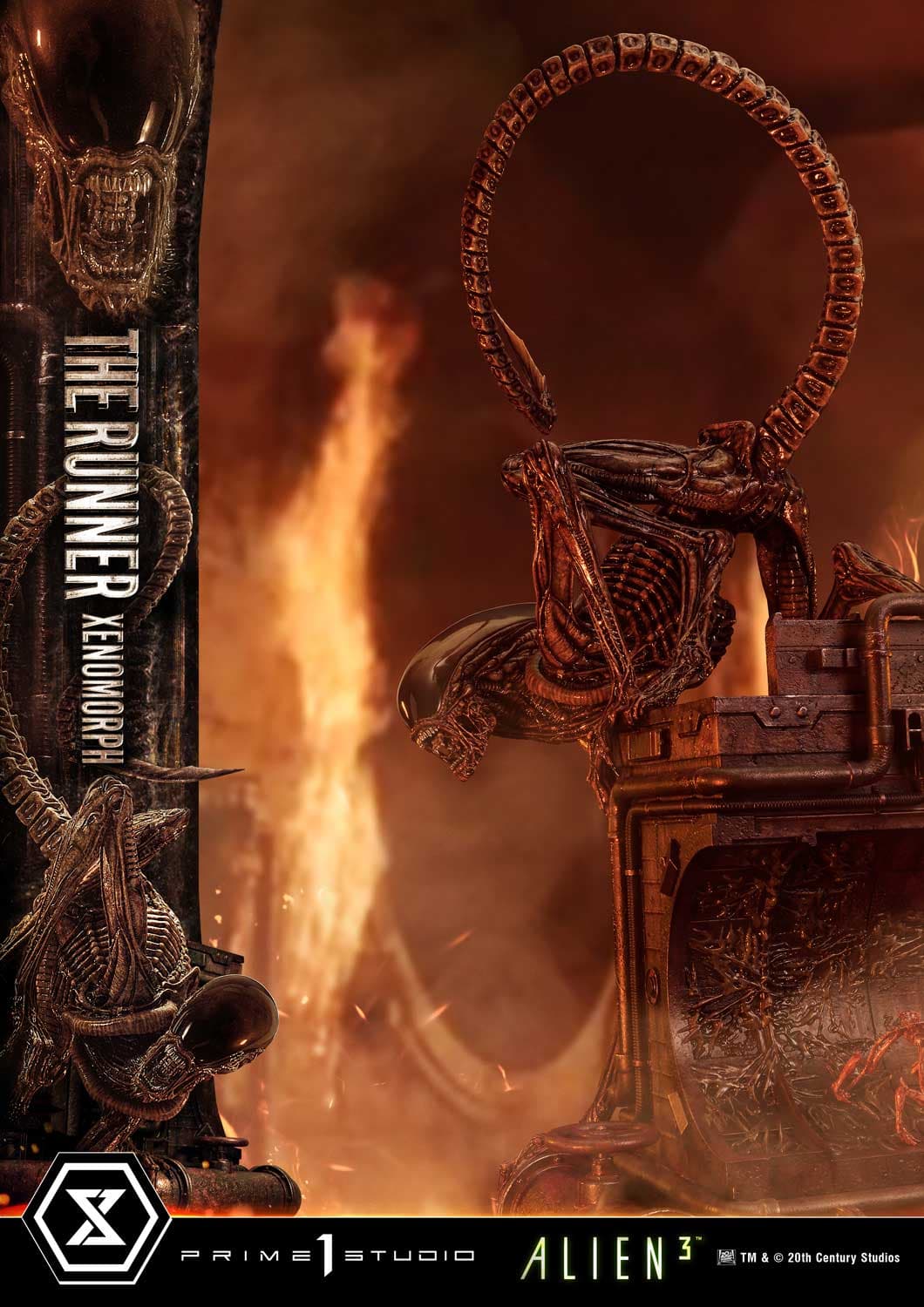 The Runner Xenomorph Dog Alien (Version Deluxe Bonus) - Museum Masterline XL - Vue 61