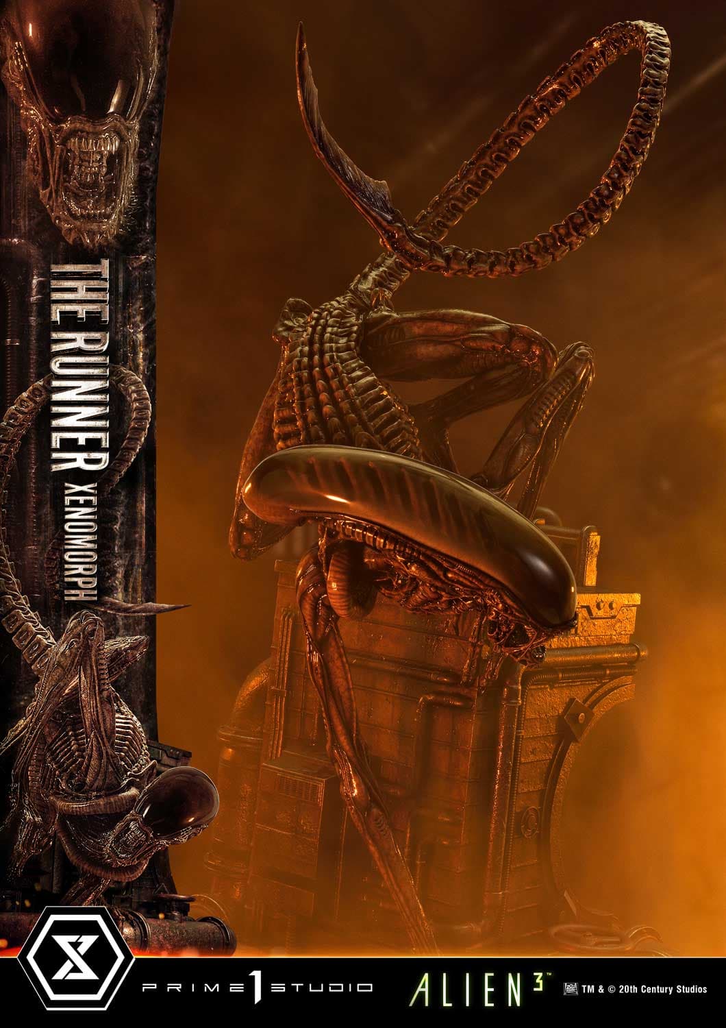 The Runner Xenomorph Dog Alien (Version Deluxe Bonus) - Museum Masterline XL - Vue 62