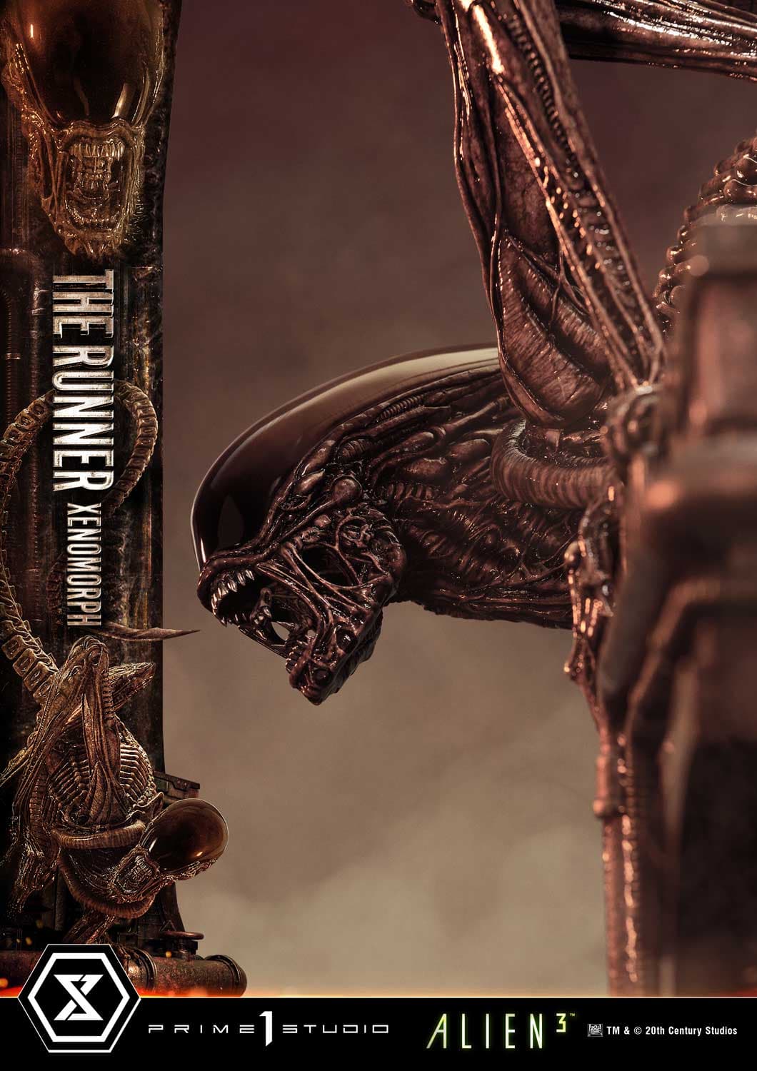 The Runner Xenomorph Dog Alien (Version Deluxe Bonus) - Museum Masterline XL - Vue 66