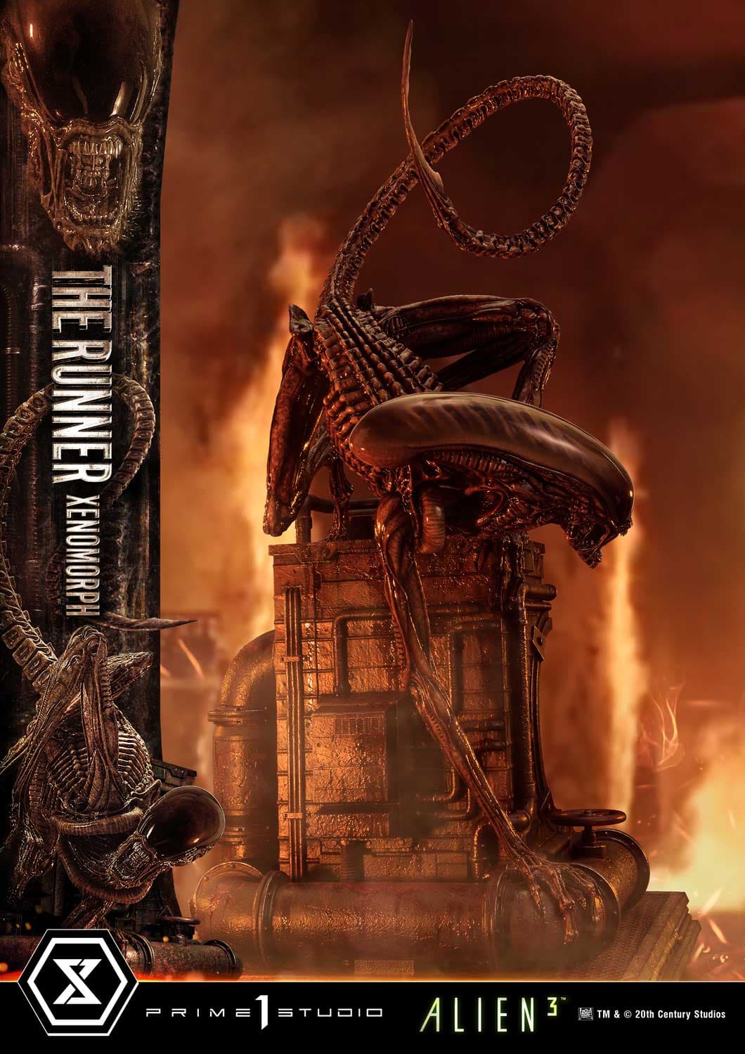 The Runner Xenomorph Dog Alien (Version Deluxe Bonus) - Museum Masterline XL - Vue 68