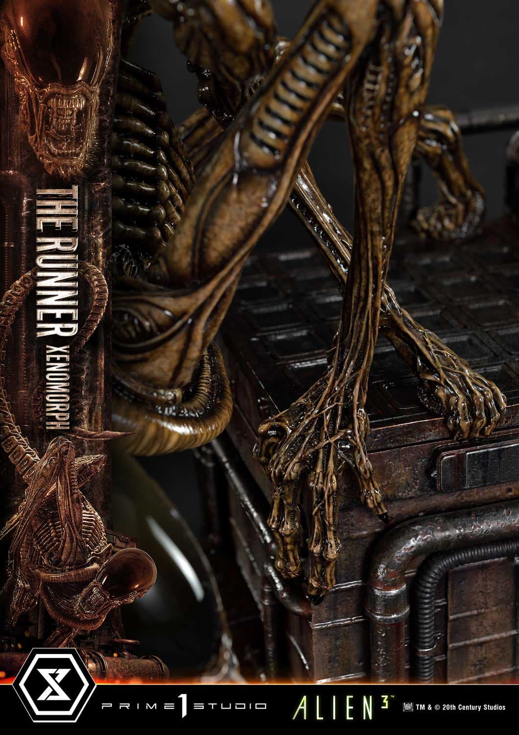 The Runner Xenomorph Dog Alien (Version Deluxe Bonus) - Museum Masterline XL - Vue 73
