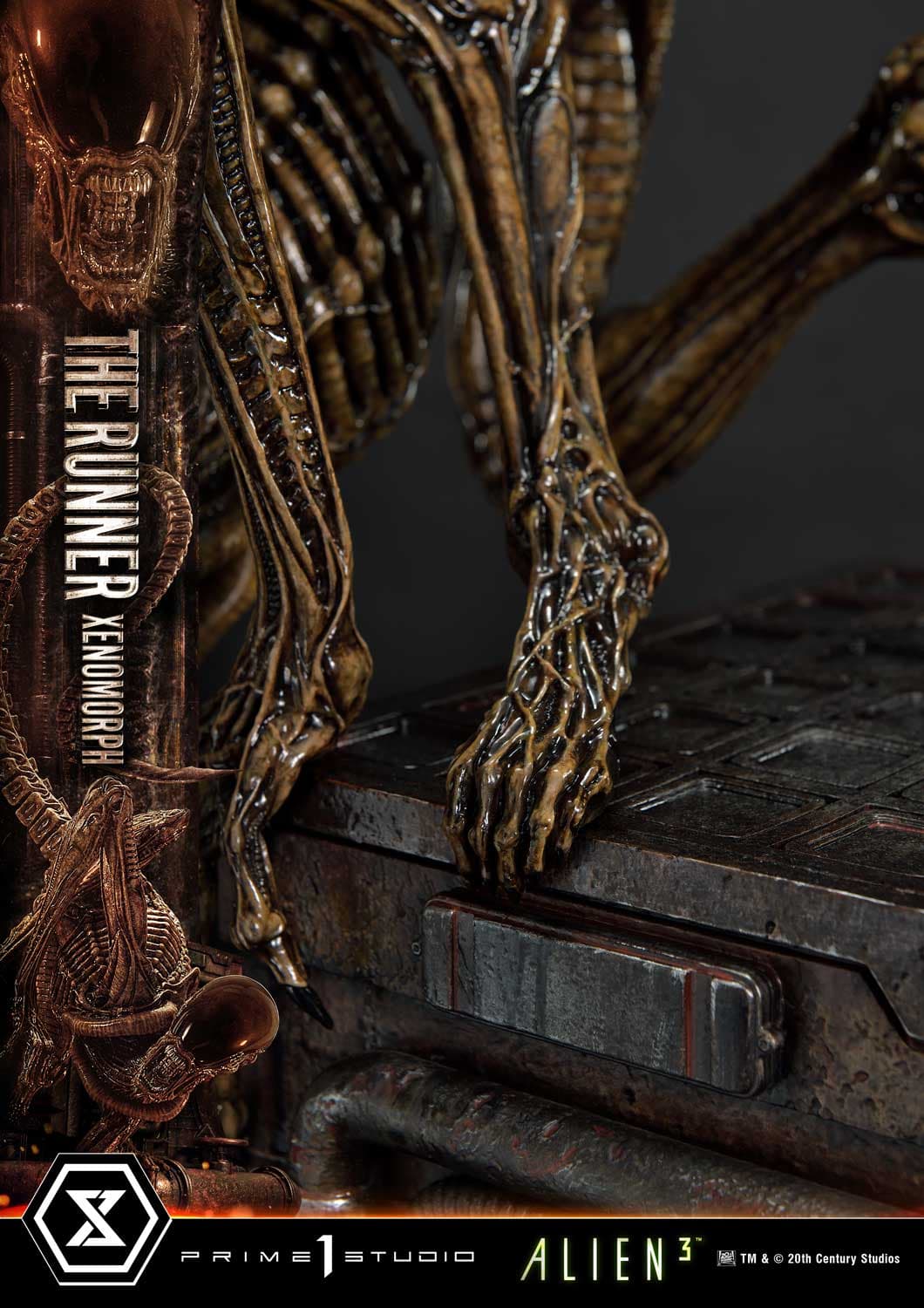 The Runner Xenomorph Dog Alien (Version Deluxe Bonus) - Museum Masterline XL - Vue 75