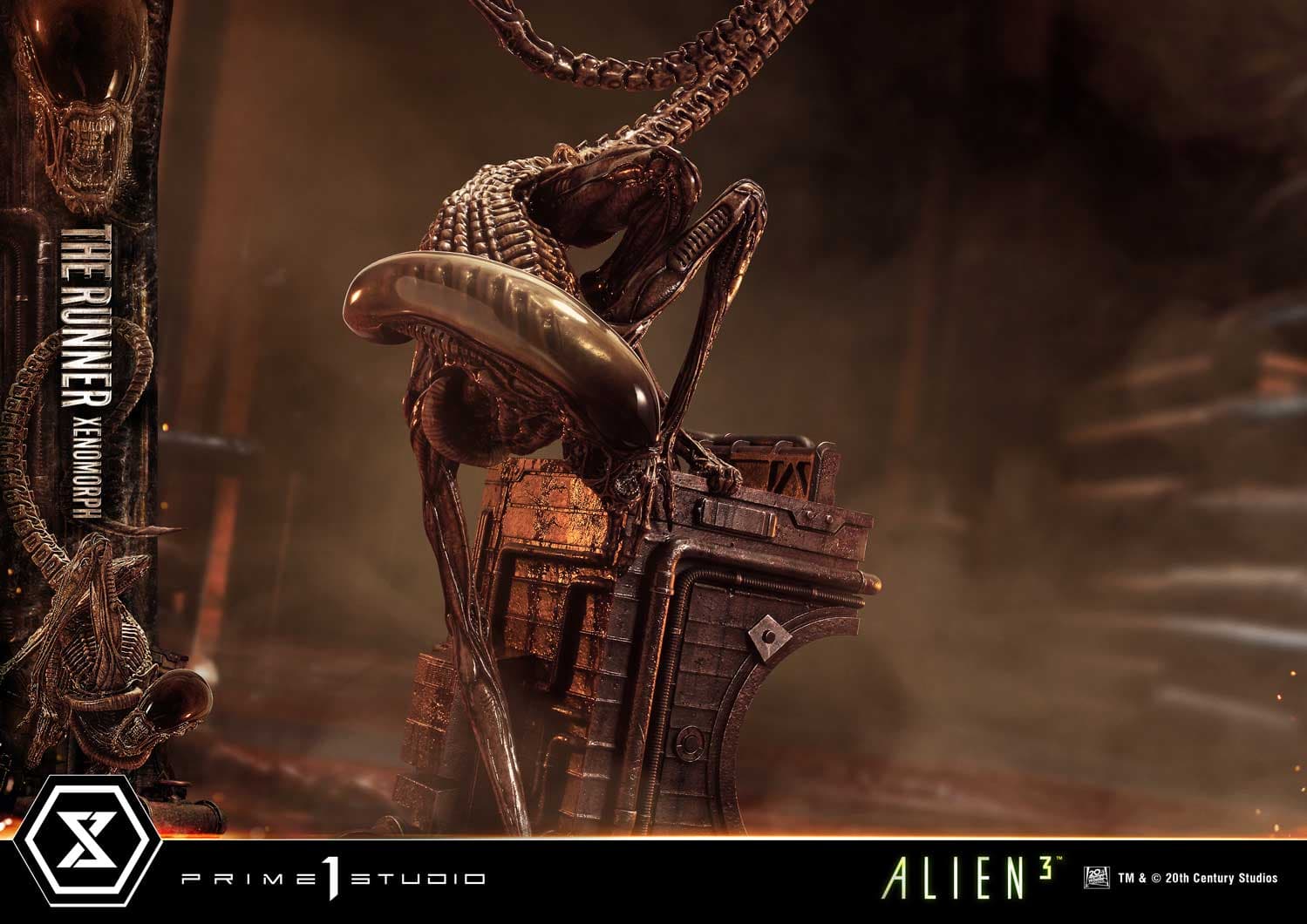 The Runner Xenomorph Dog Alien (Version Deluxe Bonus) - Museum Masterline XL - Vue 81