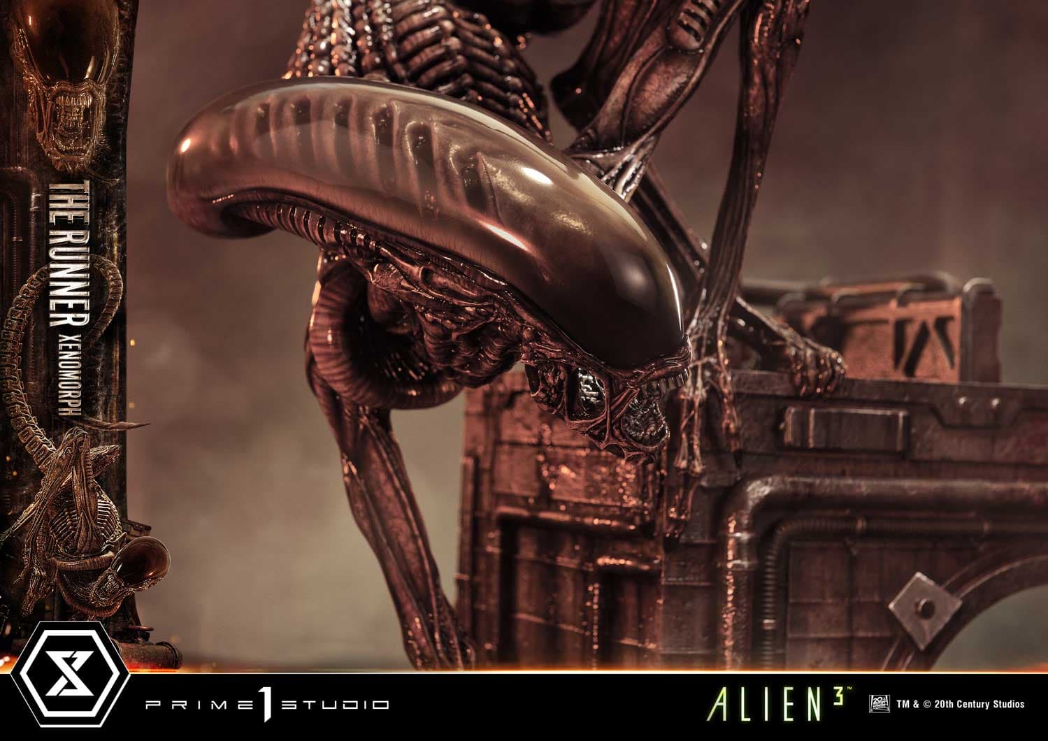 The Runner Xenomorph Dog Alien (Version Deluxe Bonus) - Museum Masterline XL - Vue 82