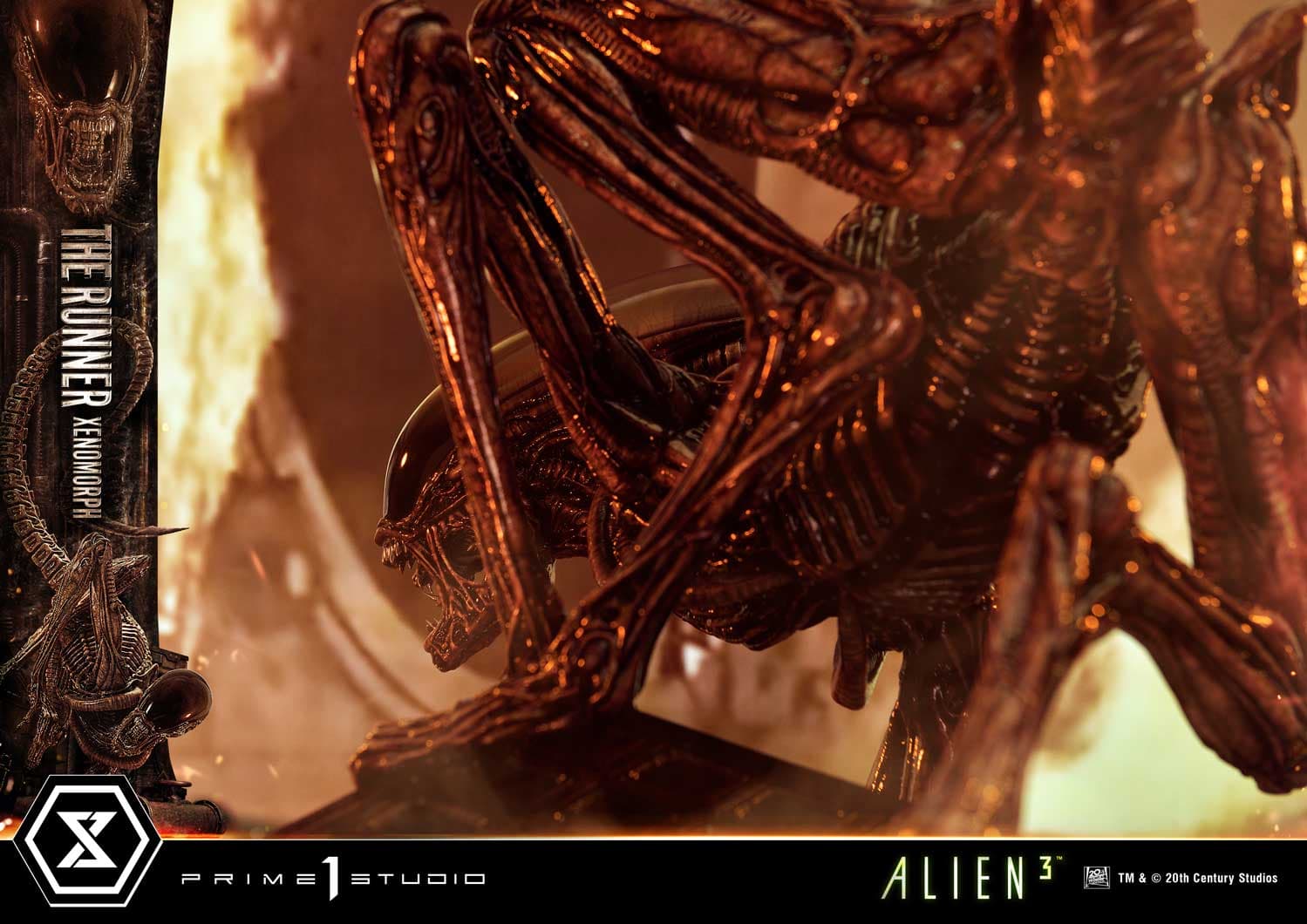 The Runner Xenomorph Dog Alien (Version Deluxe Bonus) - Museum Masterline XL - Vue 83