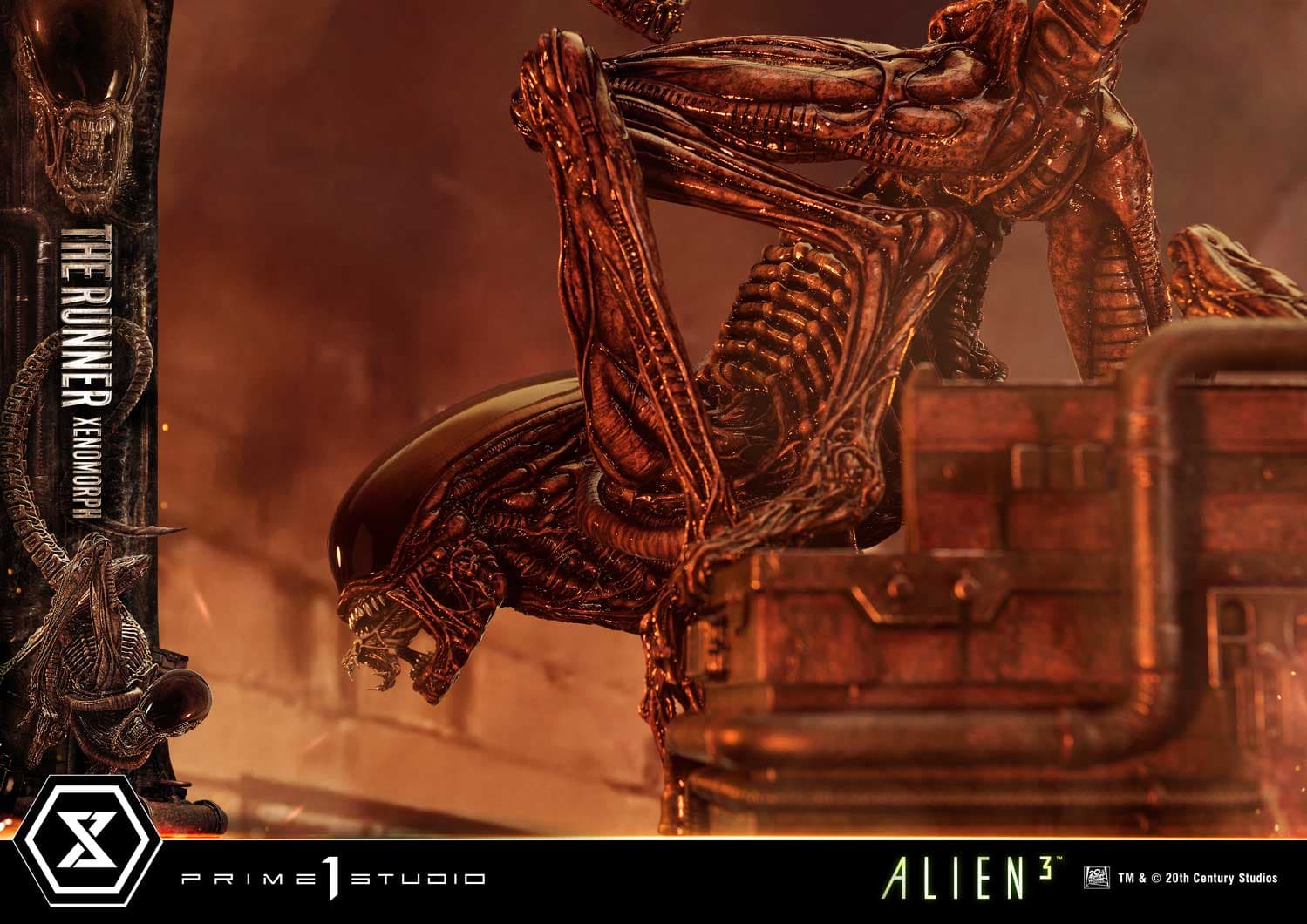 The Runner Xenomorph Dog Alien (Version Deluxe Bonus) - Museum Masterline XL - Vue 86