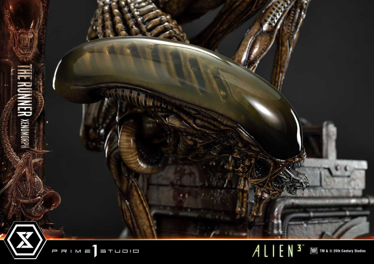 The Runner Xenomorph Dog Alien (Version Deluxe Bonus) - Museum Masterline XL - Vue 88