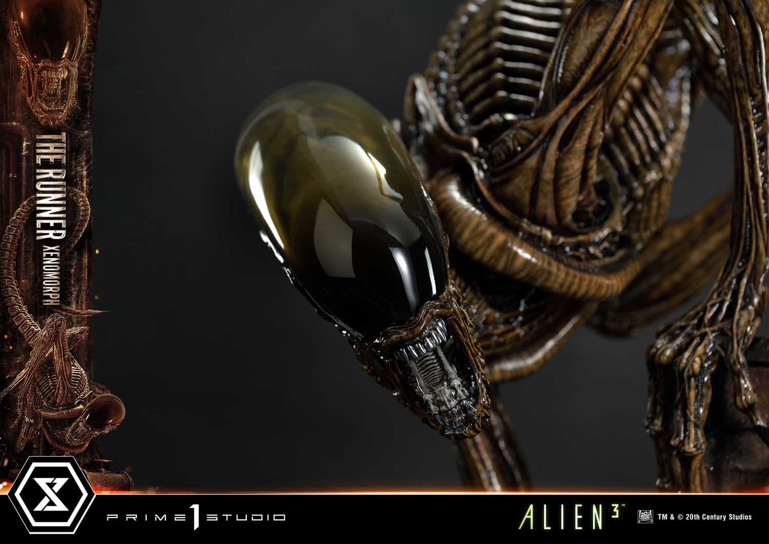 The Runner Xenomorph Dog Alien (Version Deluxe Bonus) - Museum Masterline XL - Vue 89