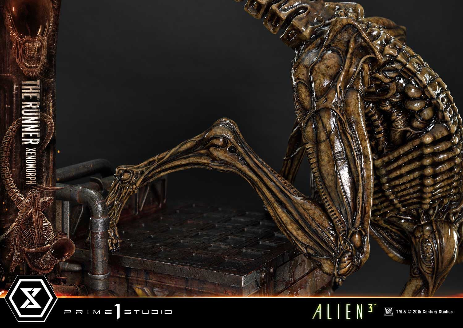 The Runner Xenomorph Dog Alien (Version Deluxe Bonus) - Museum Masterline XL - Vue 90