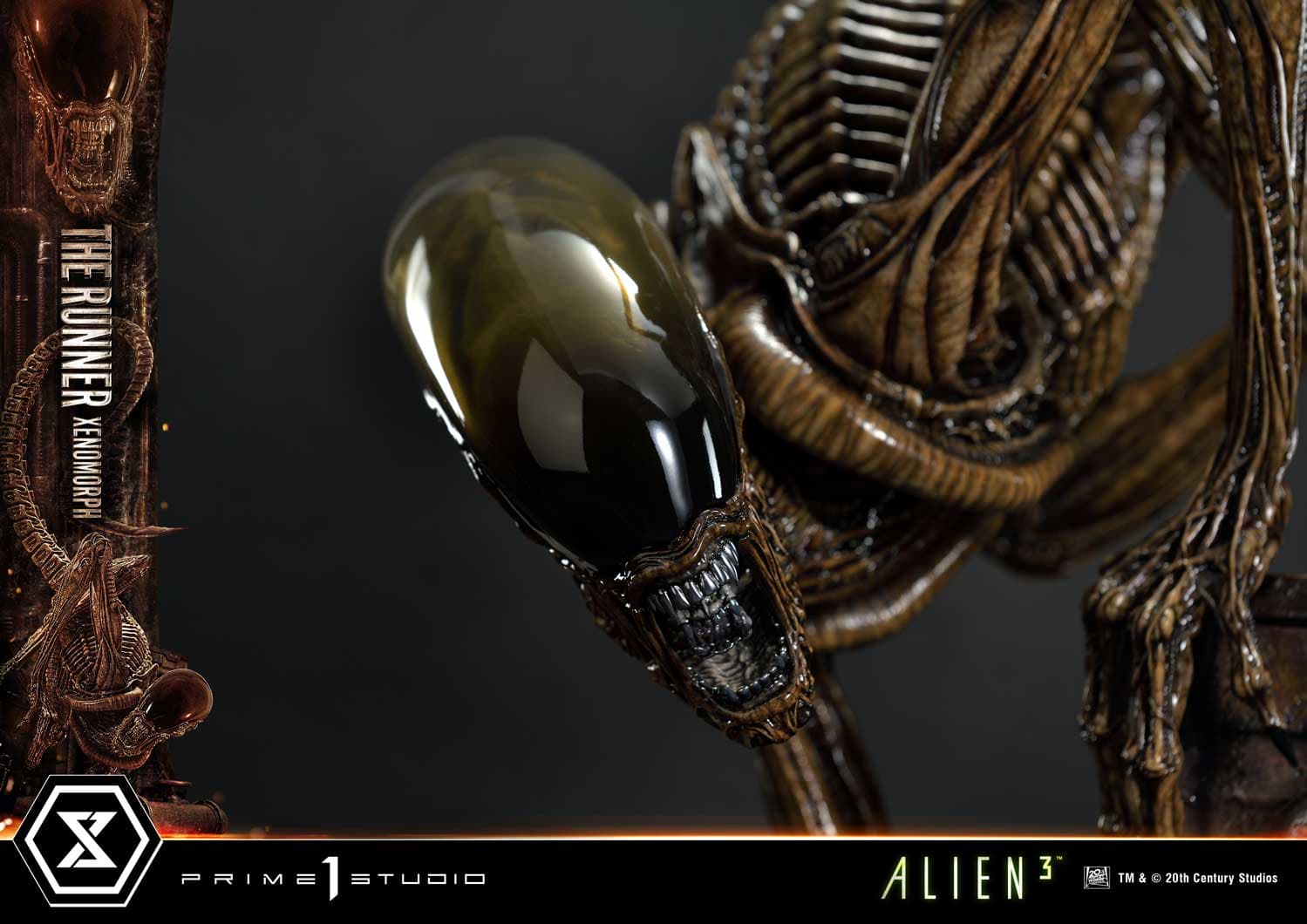The Runner Xenomorph Dog Alien (Version Deluxe Bonus) - Museum Masterline XL - Vue 98