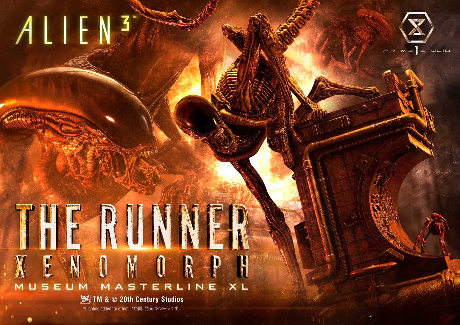 The Runner Xenomorph Dog Alien (Version Regular) - Museum Masterline XL