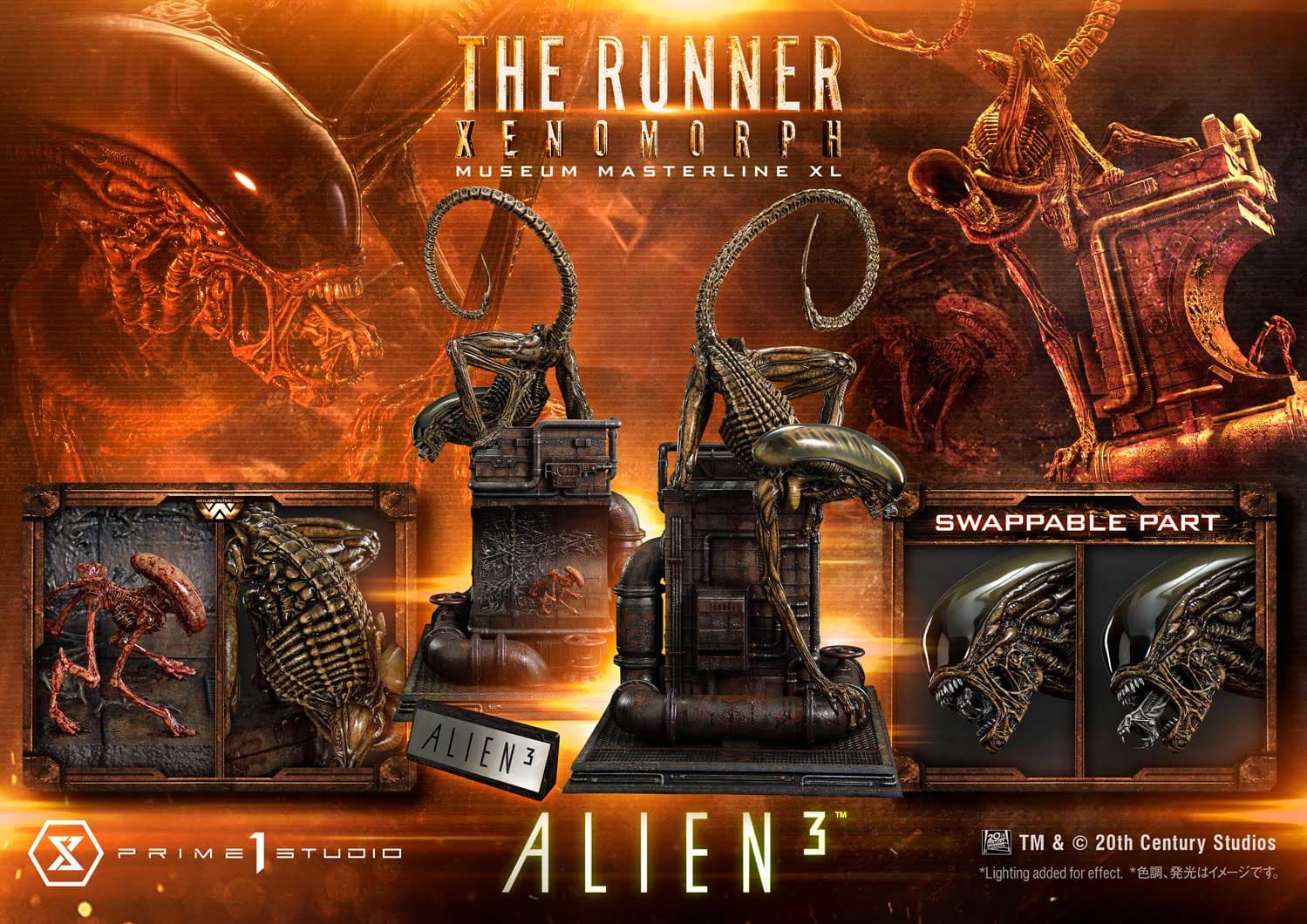 The Runner Xenomorph Dog Alien (Version Regular) - Museum Masterline XL - Vue 4