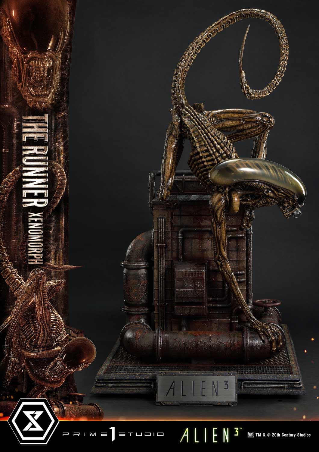 The Runner Xenomorph Dog Alien (Version Regular) - Museum Masterline XL - Vue 6