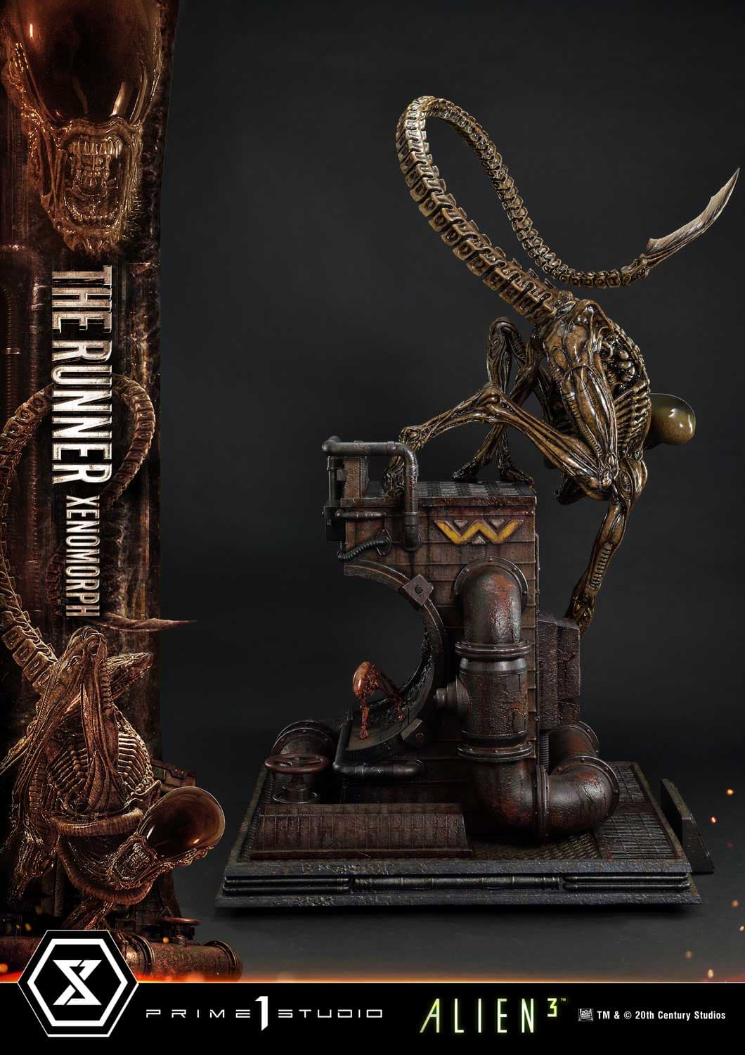 The Runner Xenomorph Dog Alien (Version Regular) - Museum Masterline XL - Vue 8