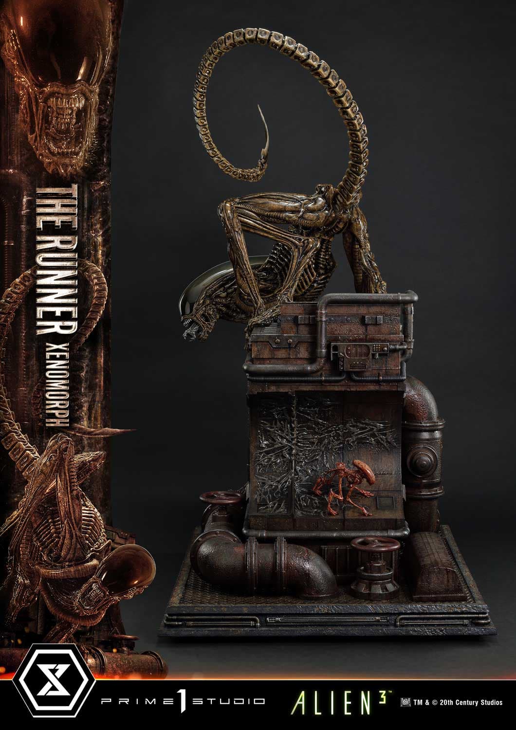 The Runner Xenomorph Dog Alien (Version Regular) - Museum Masterline XL - Vue 9