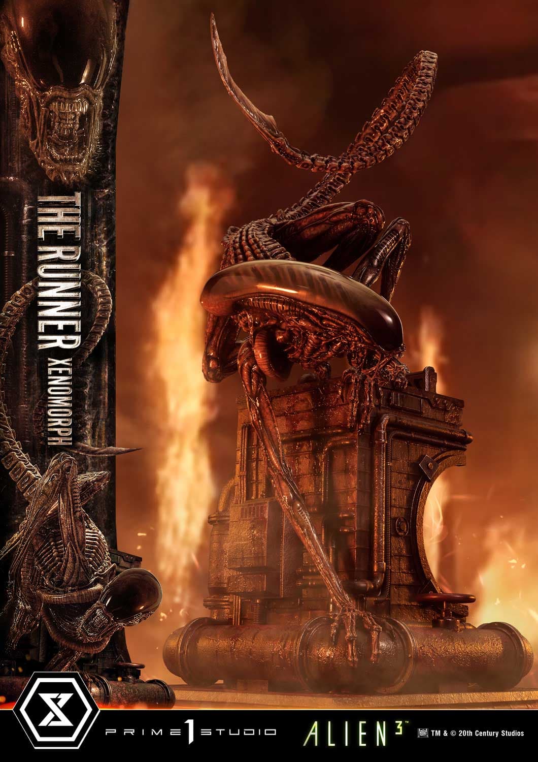 The Runner Xenomorph Dog Alien (Version Regular) - Museum Masterline XL - Vue 14