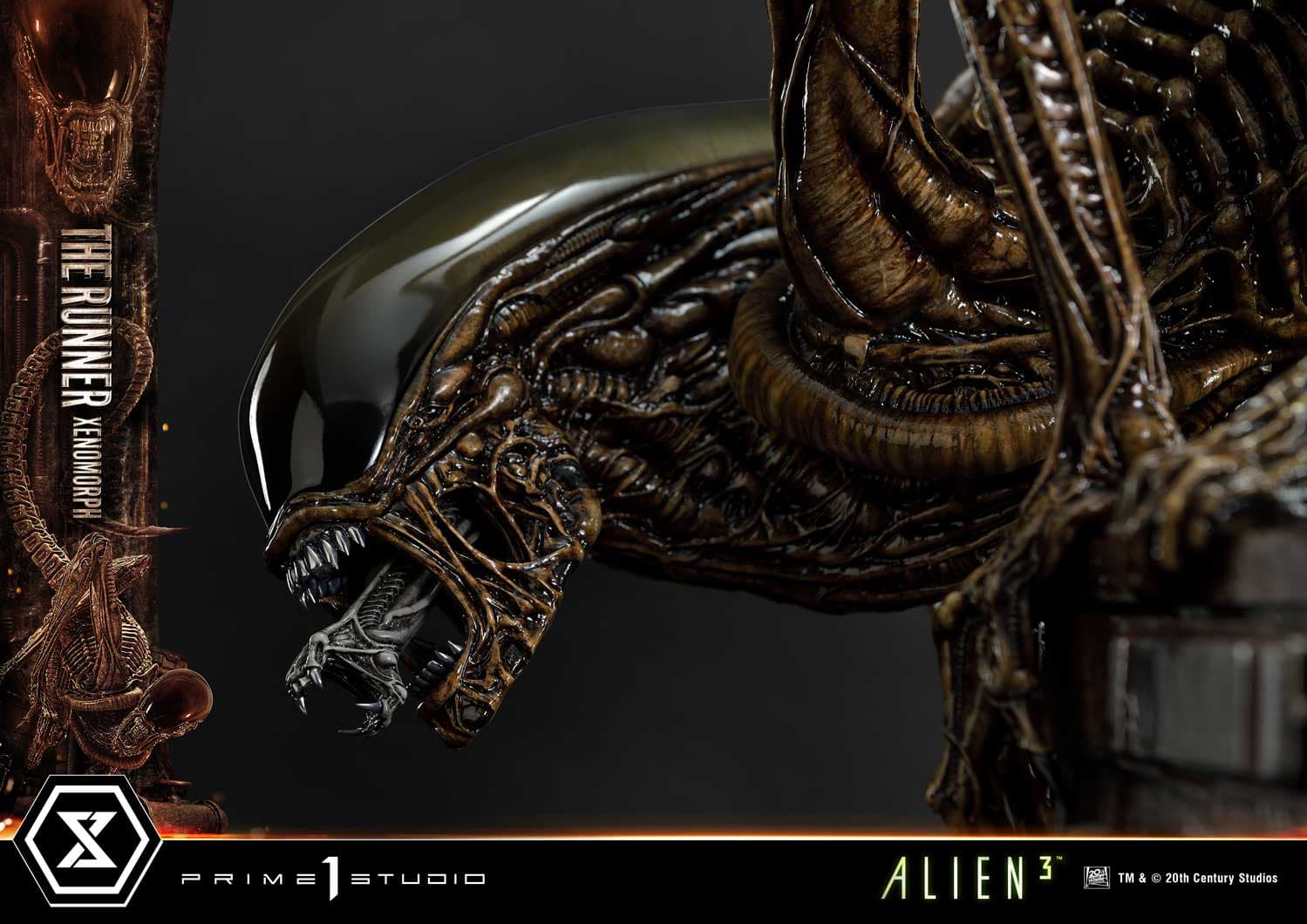 The Runner Xenomorph Dog Alien (Version Regular) - Museum Masterline XL - Vue 16
