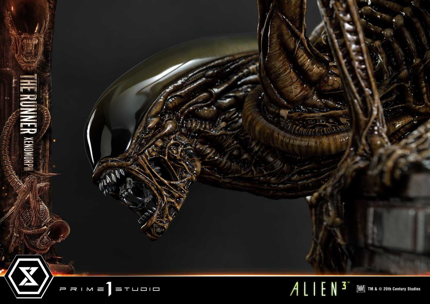 The Runner Xenomorph Dog Alien (Version Regular) - Museum Masterline XL - Vue 17