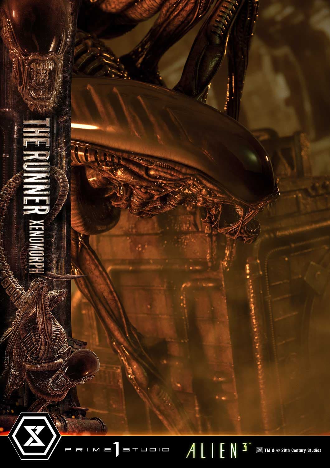 The Runner Xenomorph Dog Alien (Version Regular) - Museum Masterline XL - Vue 27