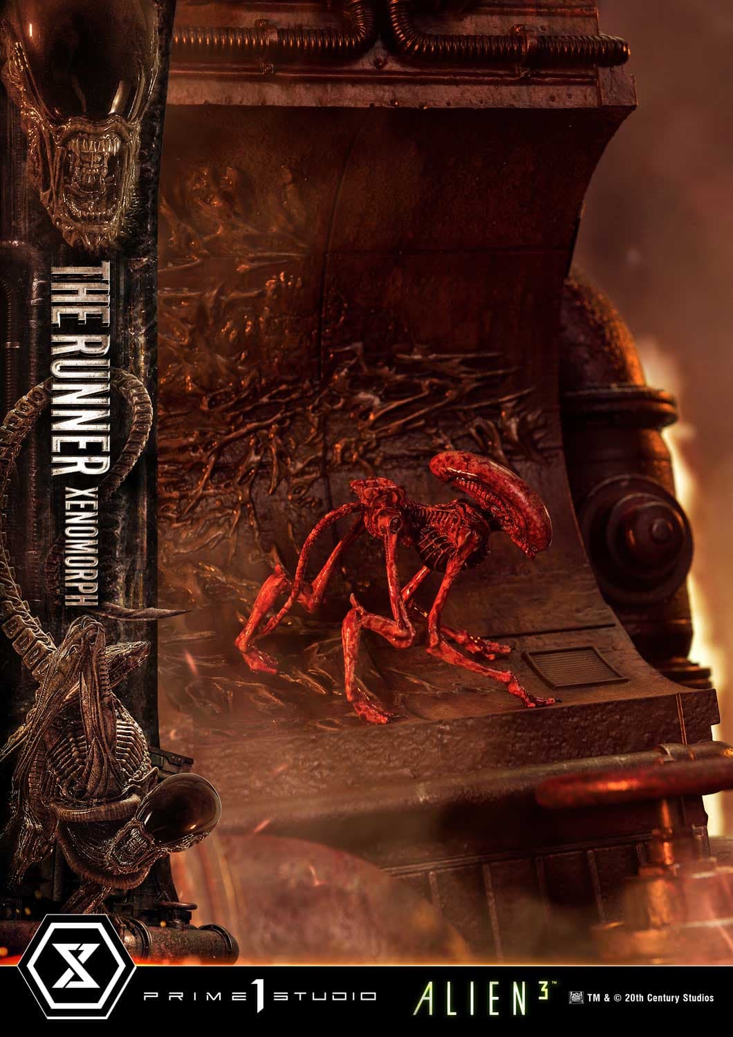 The Runner Xenomorph Dog Alien (Version Regular) - Museum Masterline XL - Vue 29