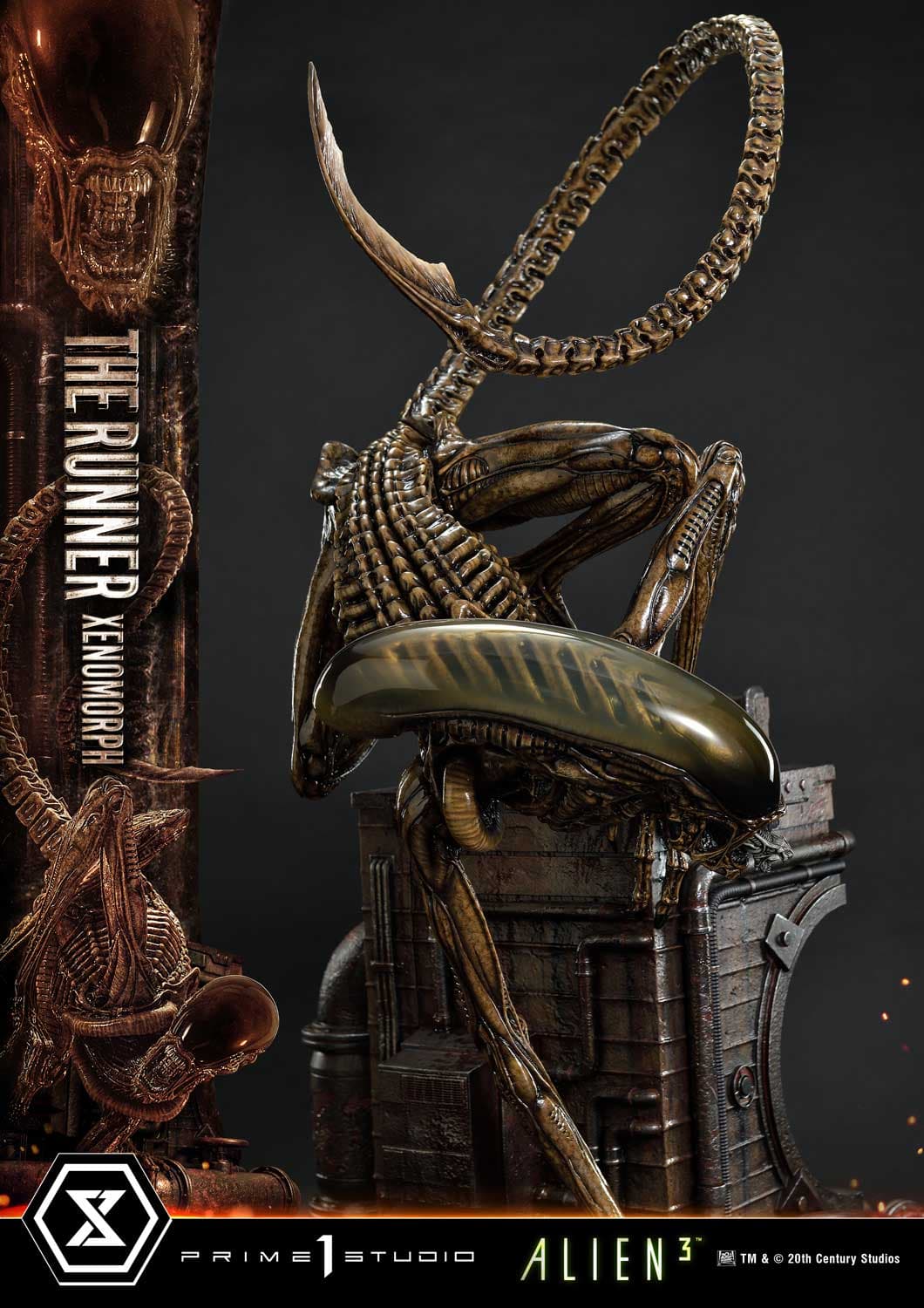 The Runner Xenomorph Dog Alien (Version Regular) - Museum Masterline XL - Vue 31