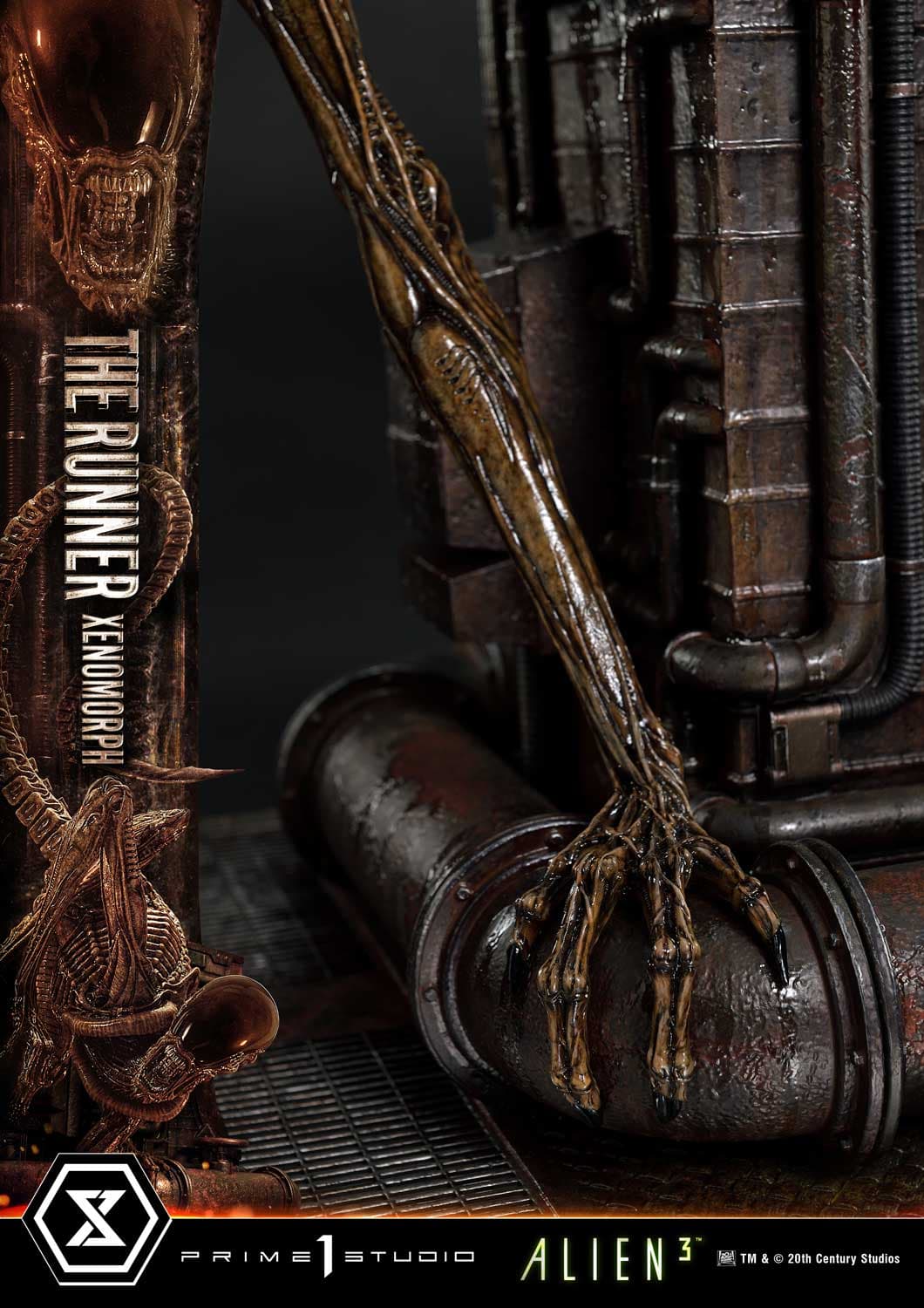 The Runner Xenomorph Dog Alien (Version Regular) - Museum Masterline XL - Vue 32