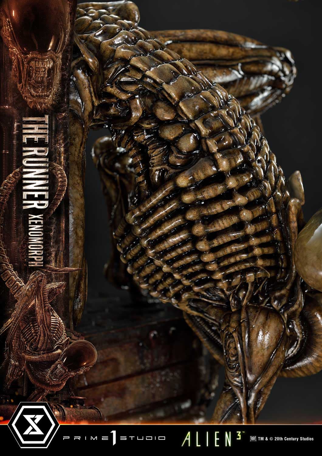 The Runner Xenomorph Dog Alien (Version Regular) - Museum Masterline XL - Vue 36