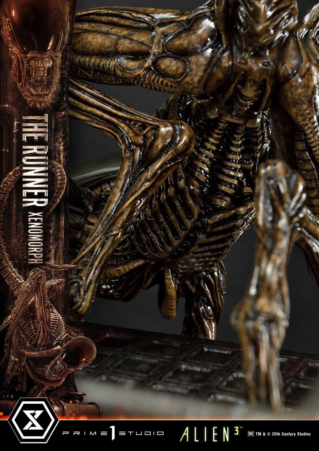 The Runner Xenomorph Dog Alien (Version Regular) - Museum Masterline XL - Vue 38