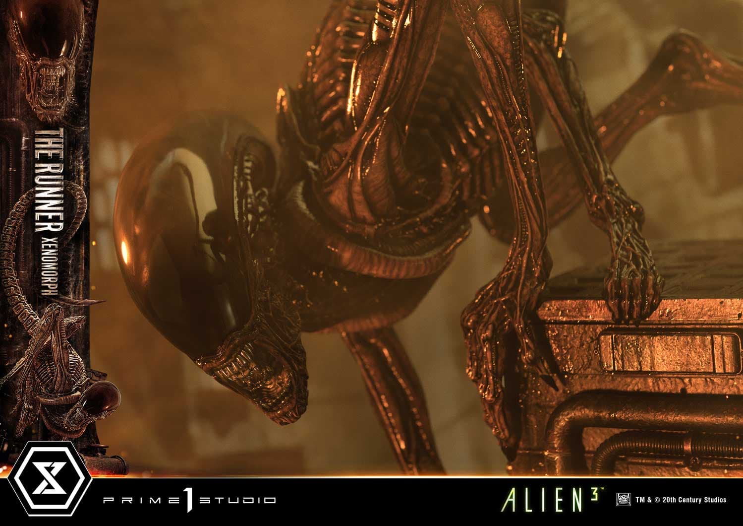 The Runner Xenomorph Dog Alien (Version Regular) - Museum Masterline XL - Vue 44