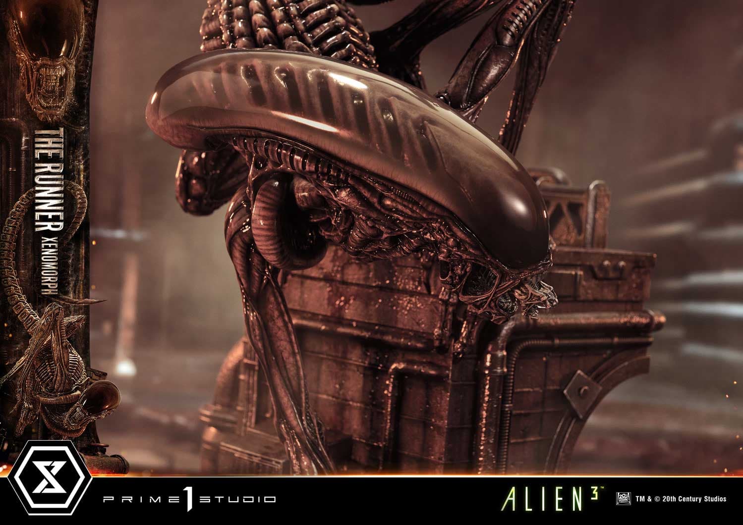 The Runner Xenomorph Dog Alien (Version Regular) - Museum Masterline XL - Vue 45