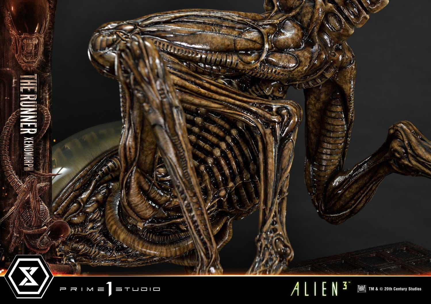 The Runner Xenomorph Dog Alien (Version Regular) - Museum Masterline XL - Vue 51