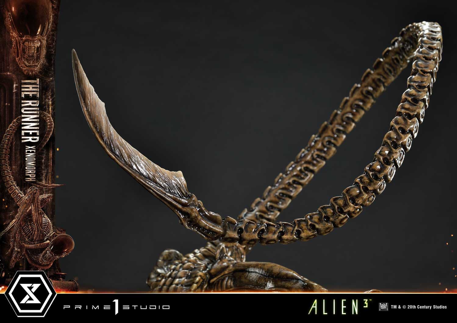 The Runner Xenomorph Dog Alien (Version Regular) - Museum Masterline XL - Vue 52