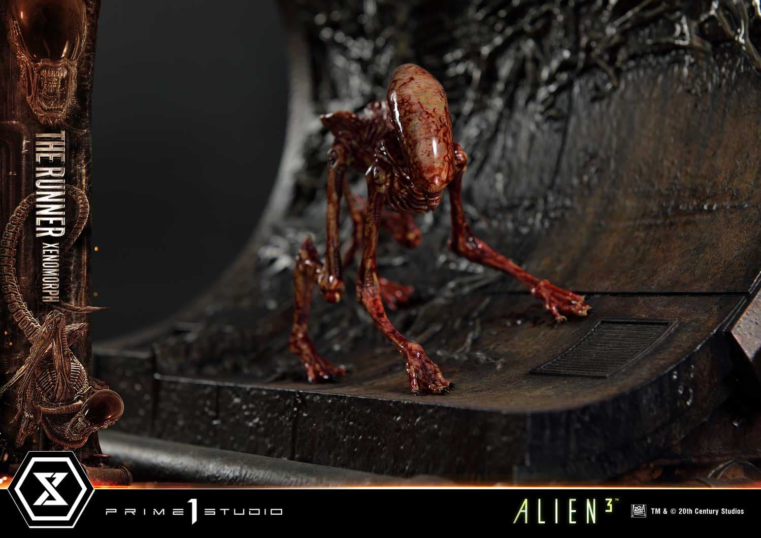 The Runner Xenomorph Dog Alien (Version Regular) - Museum Masterline XL - Vue 55
