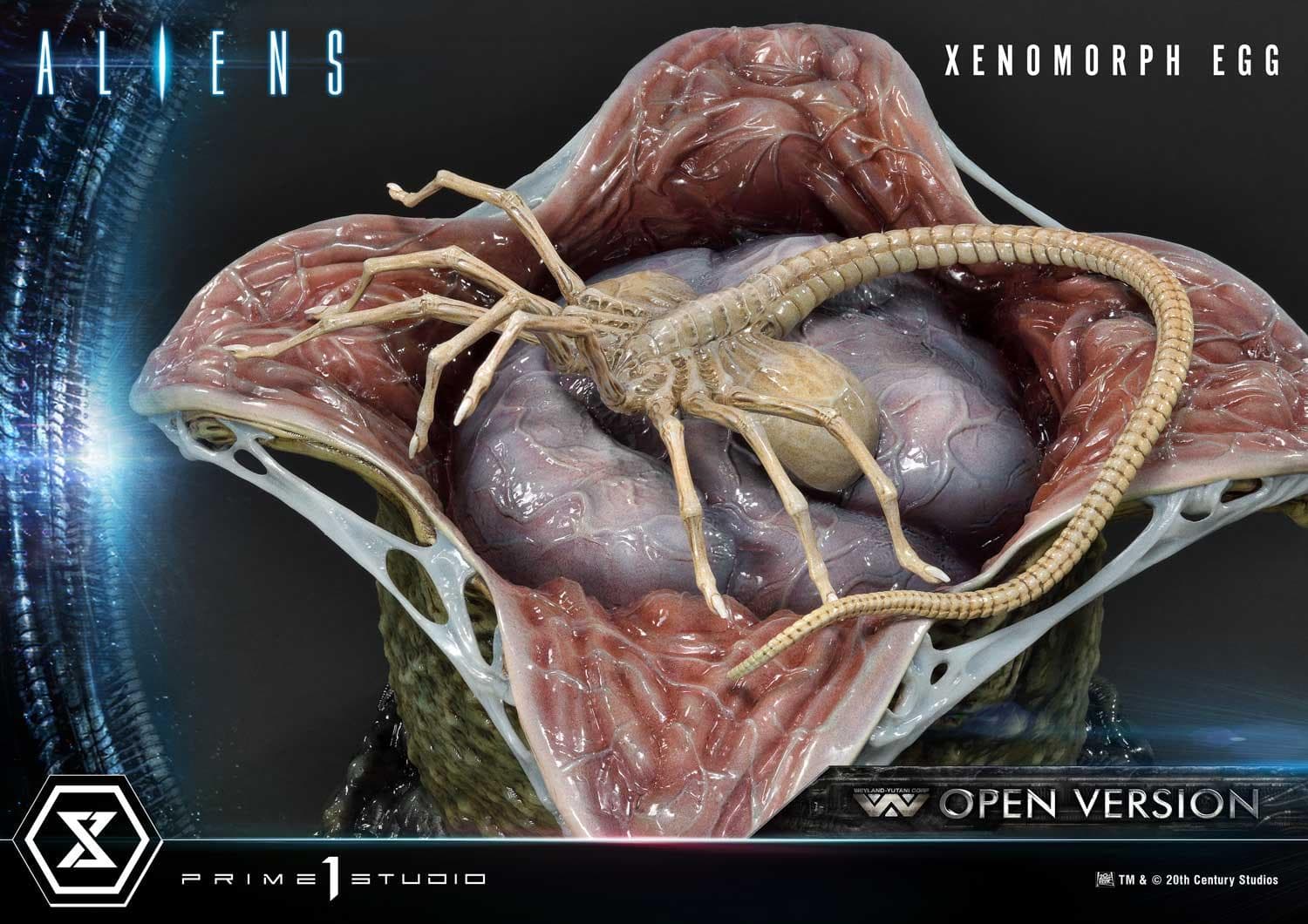Xenomorph Egg (Version ouverte) - Premium Masterline - Vue 7