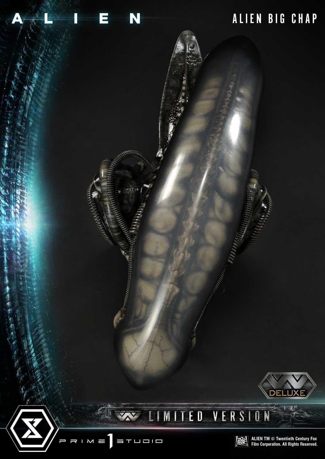 Alien Big Chap (Version Deluxe Limited) - Vue 35