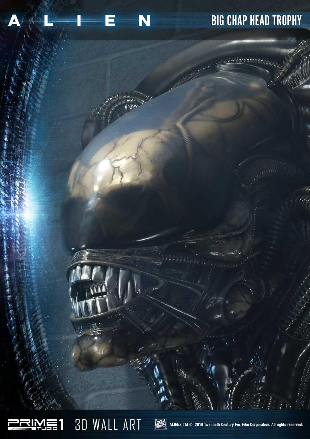 Alien Big Chap Head Trophy (Version Regular) - 3D Wall Art - Vue 13