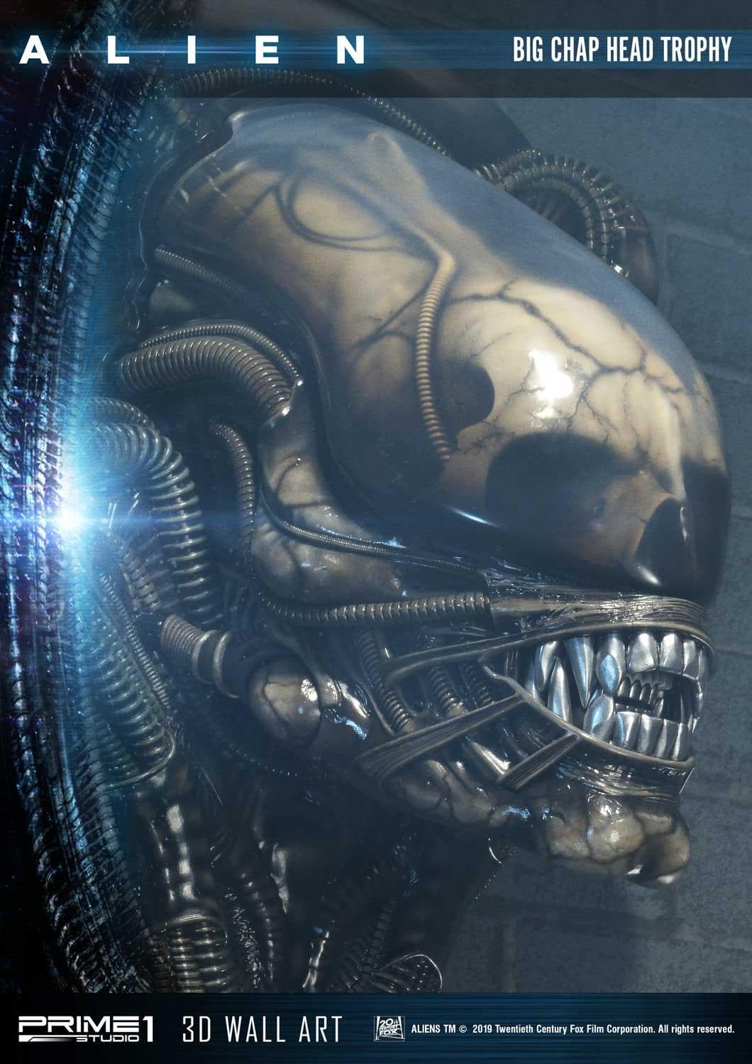 Alien Big Chap Head Trophy (Version Regular) - 3D Wall Art - Vue 14