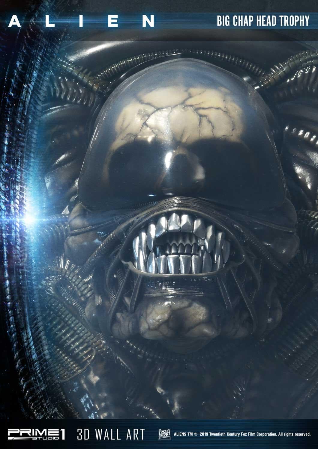 Alien Big Chap Head Trophy (Version Regular) - 3D Wall Art - Vue 17