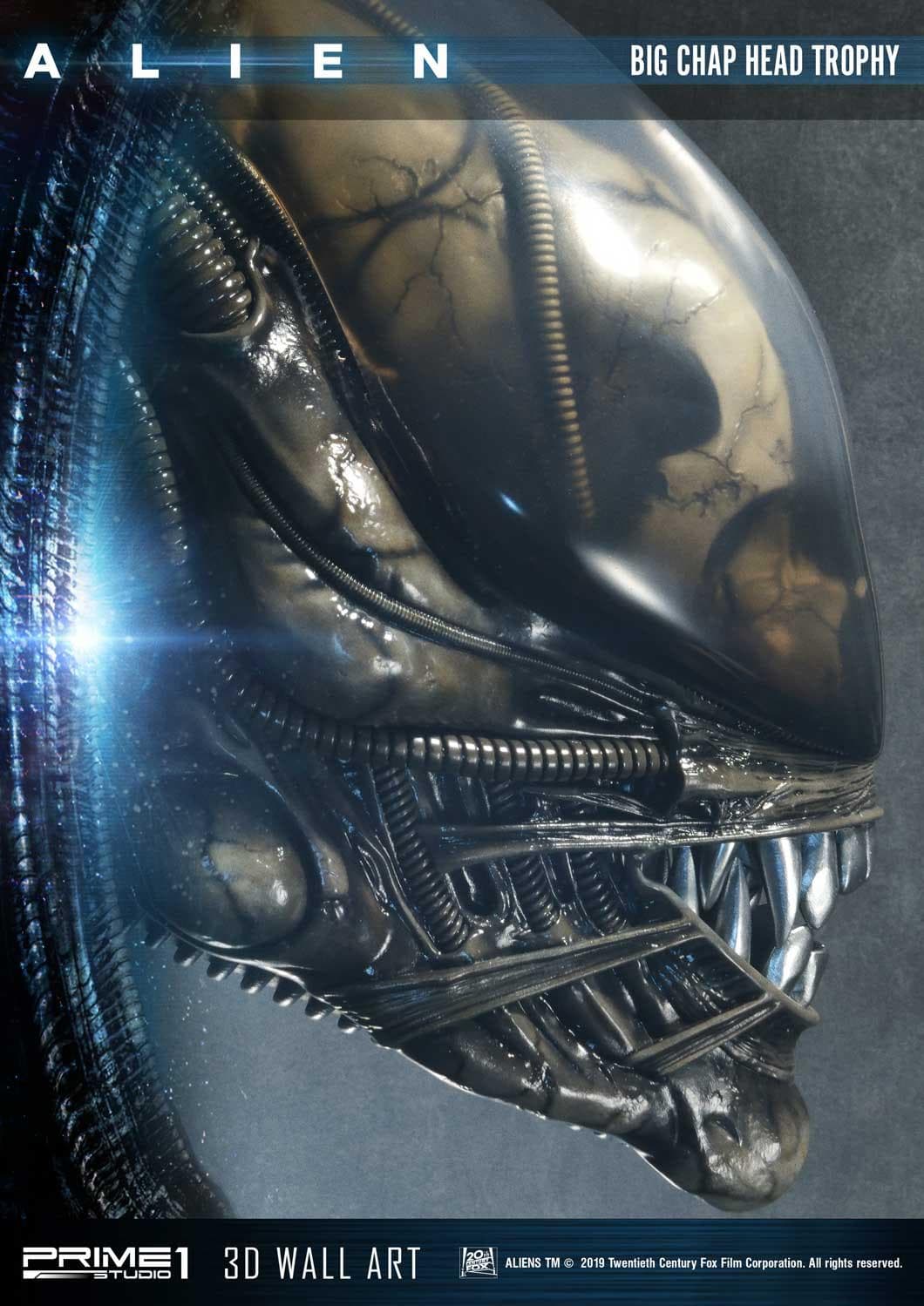 Alien Big Chap Head Trophy (Version Regular) - 3D Wall Art - Vue 22