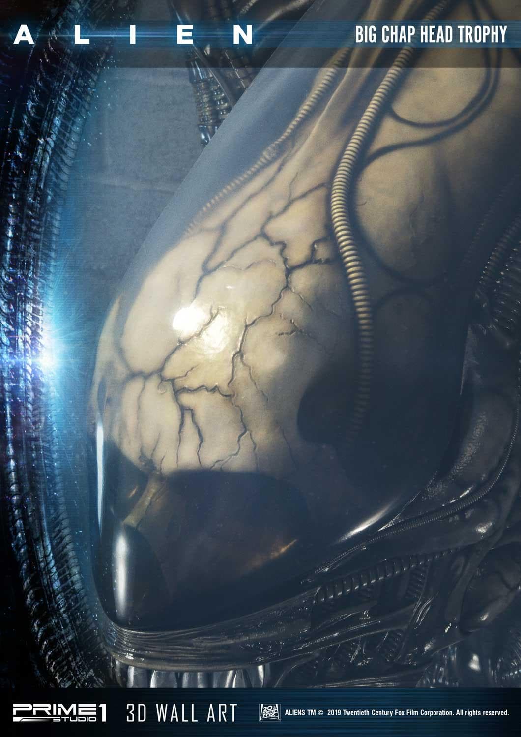 Alien Big Chap Head Trophy (Version Regular) - 3D Wall Art - Vue 24