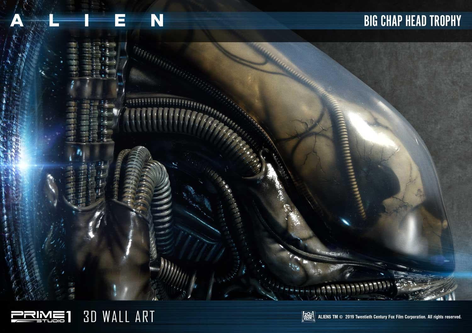 Alien Big Chap Head Trophy (Version Regular) - 3D Wall Art - Vue 32