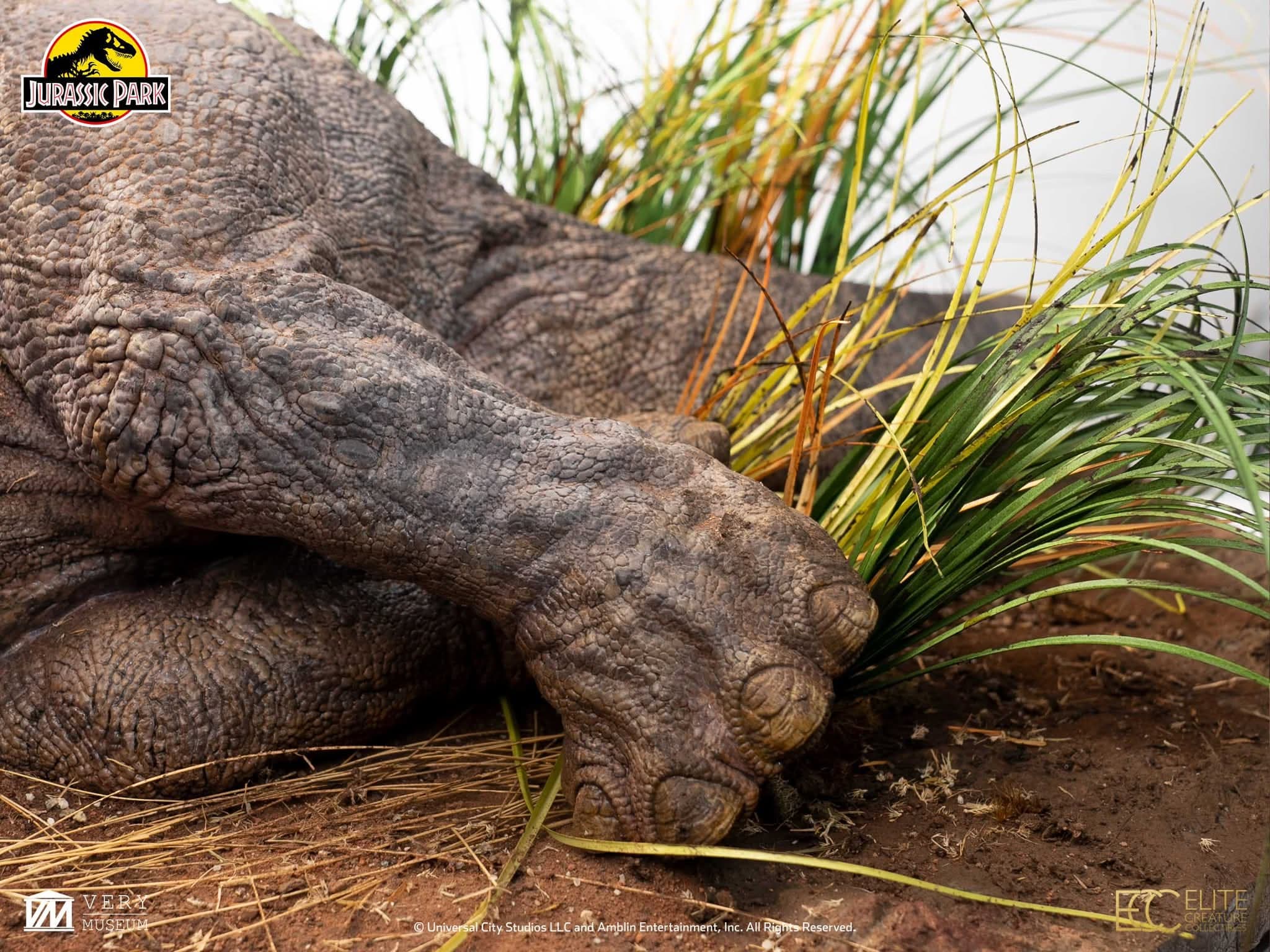 Sick Triceratops - Vue 4