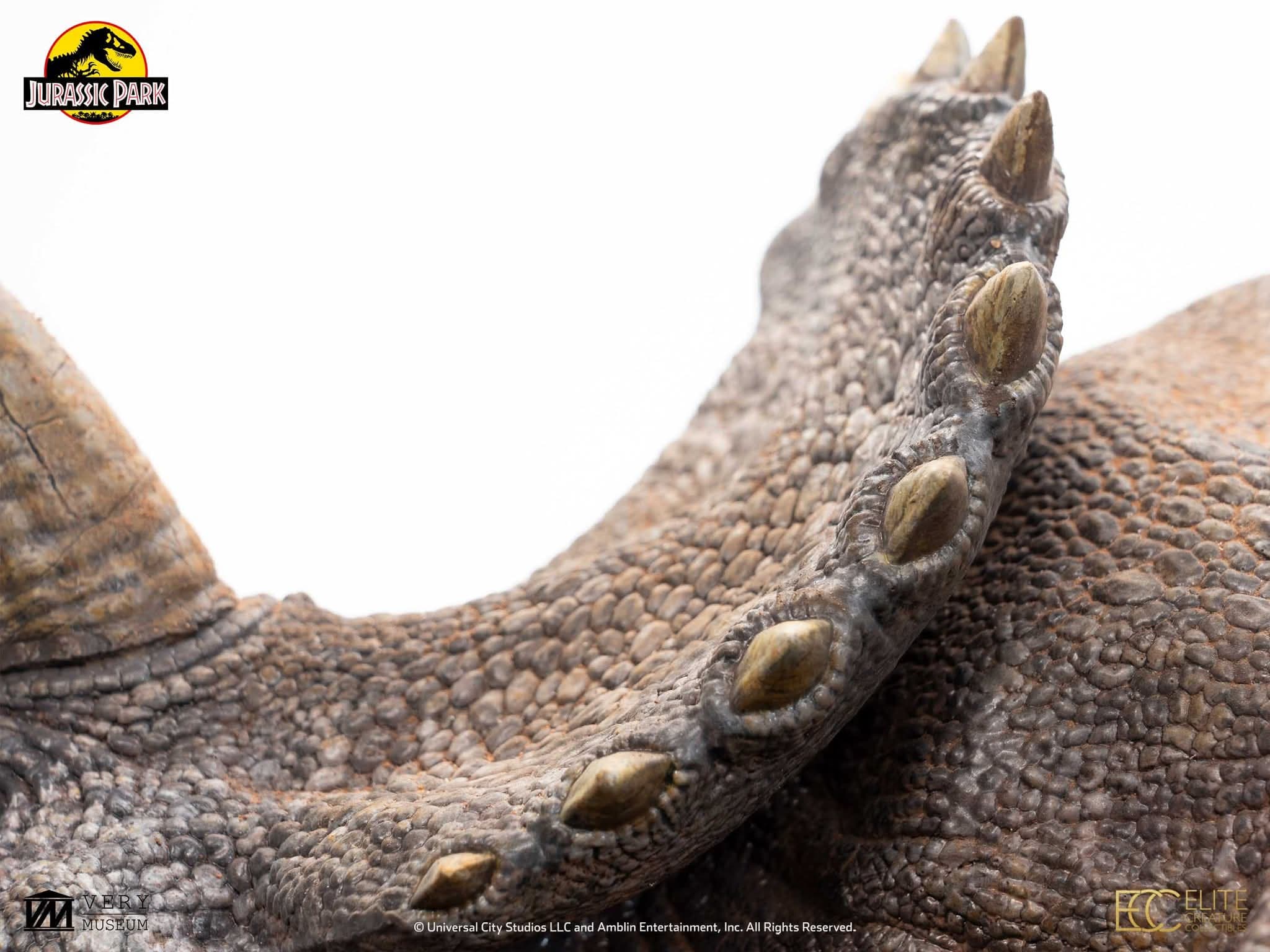 Sick Triceratops - Vue 5