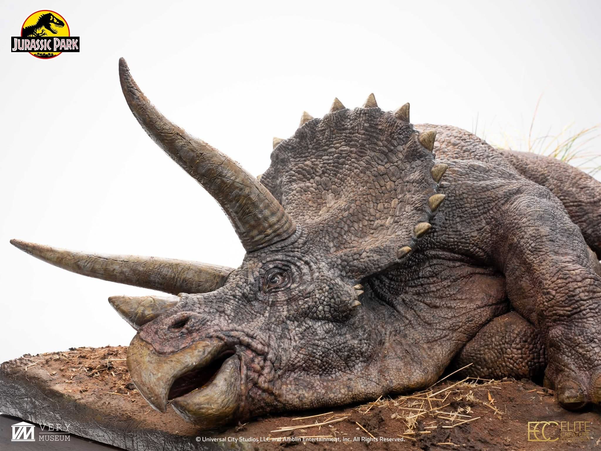 Sick Triceratops - Vue 6