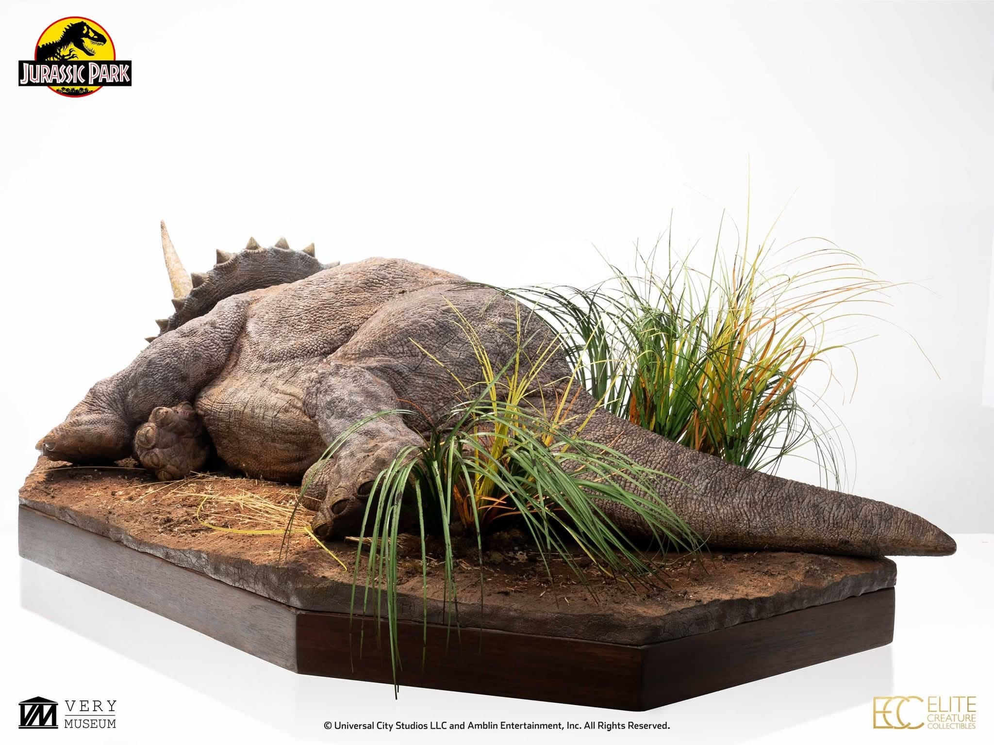 Sick Triceratops - Vue 7