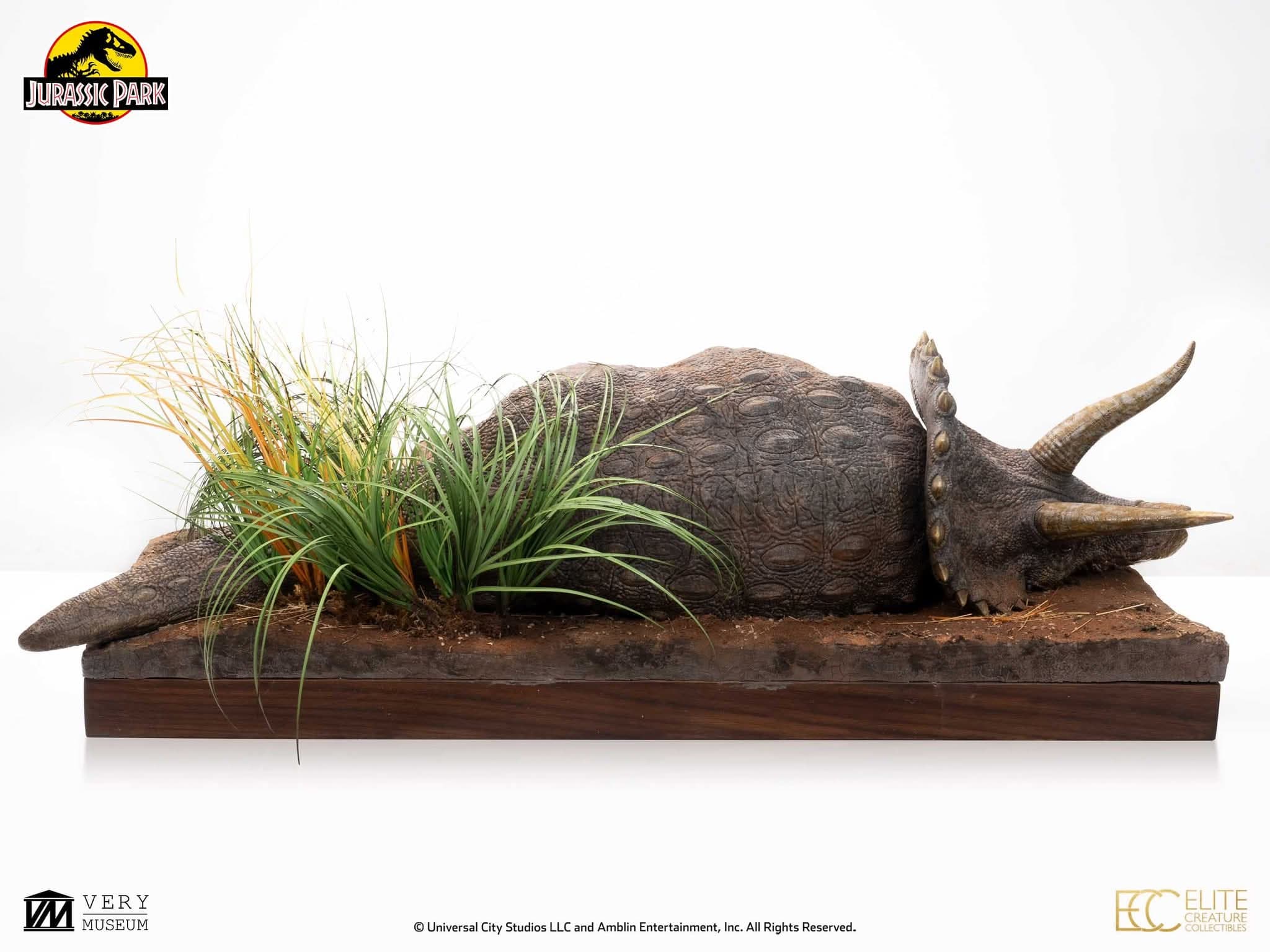 Sick Triceratops - Vue 8
