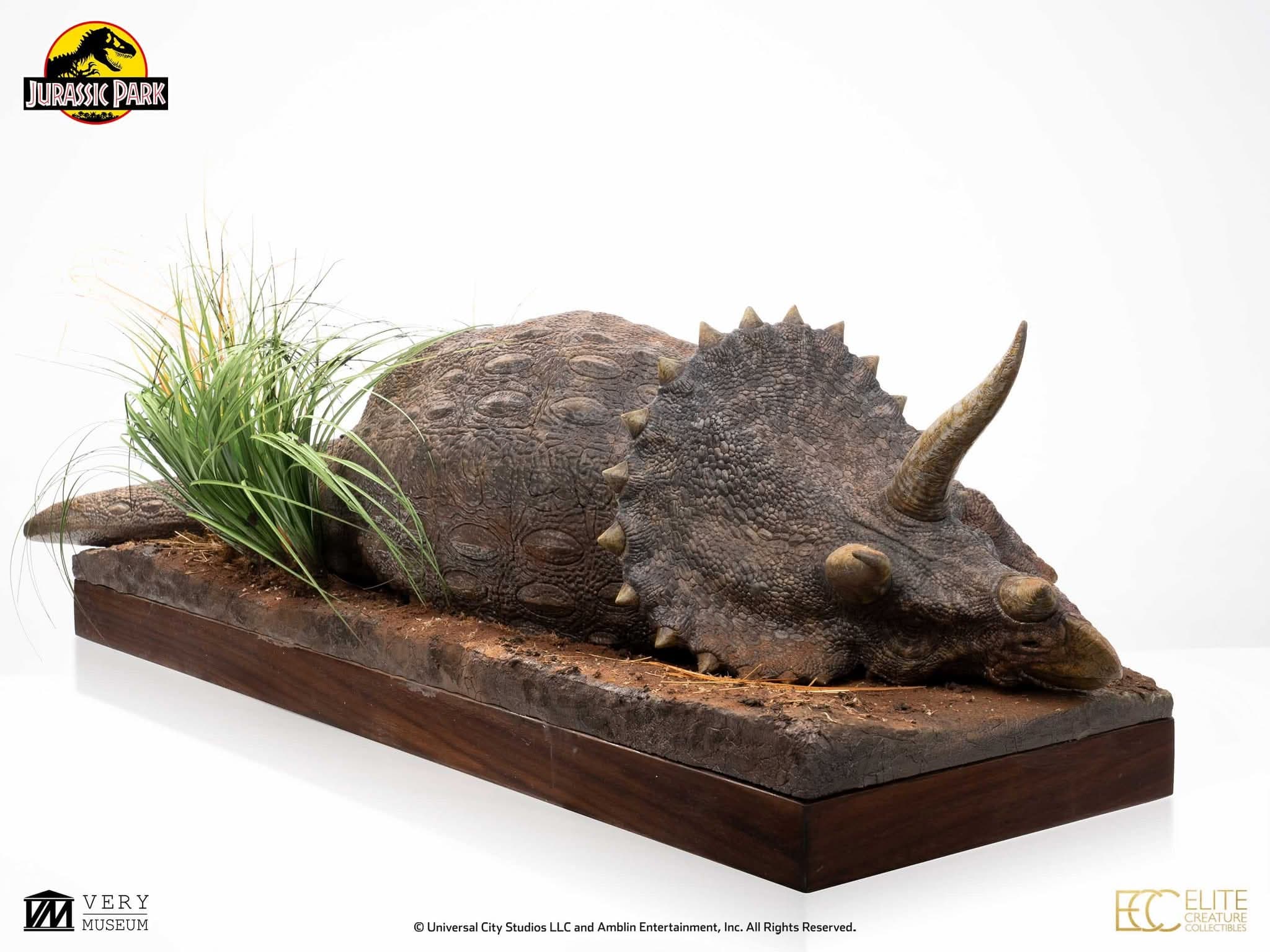 Sick Triceratops - Vue 9