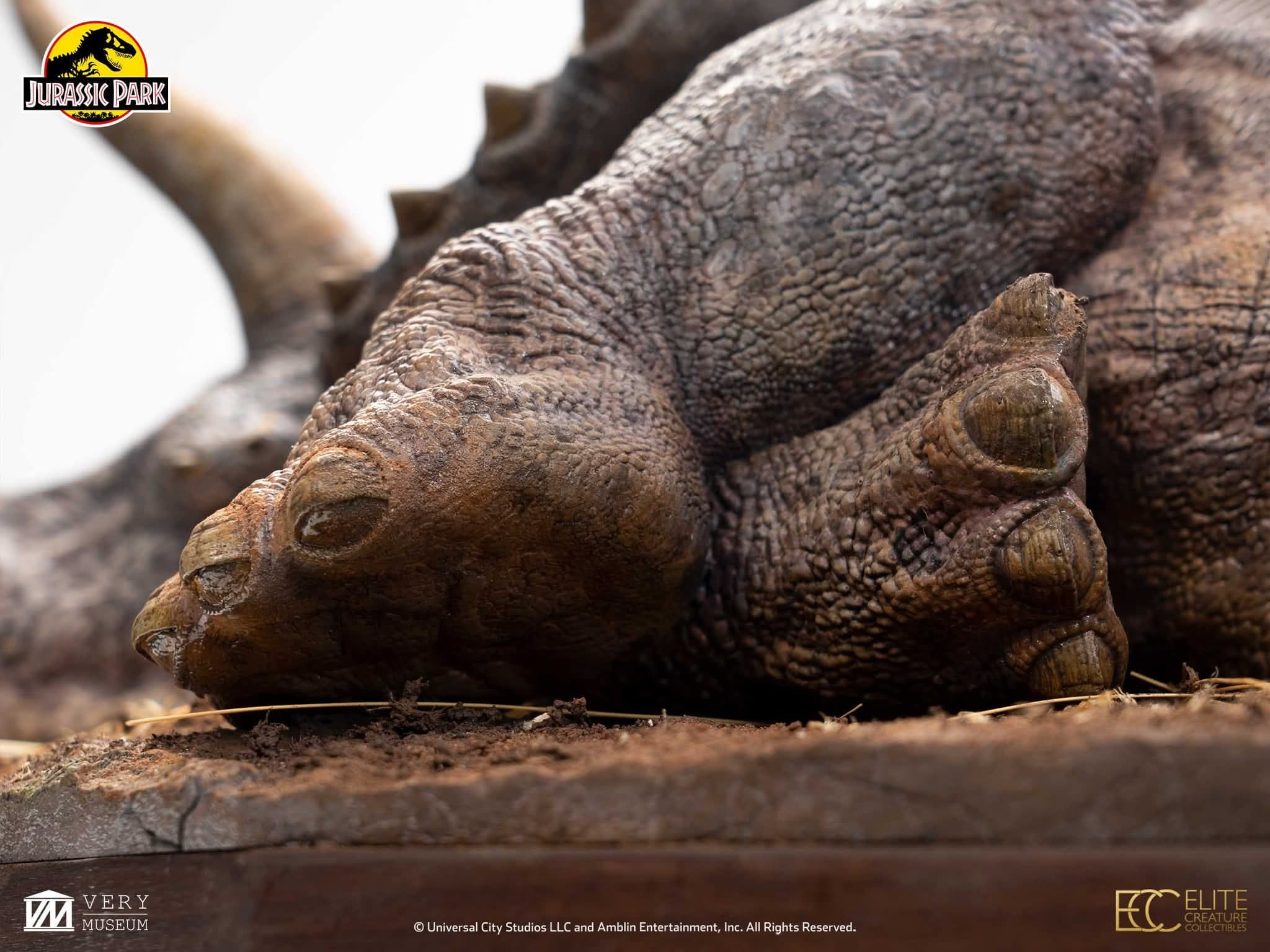 Sick Triceratops - Vue 10