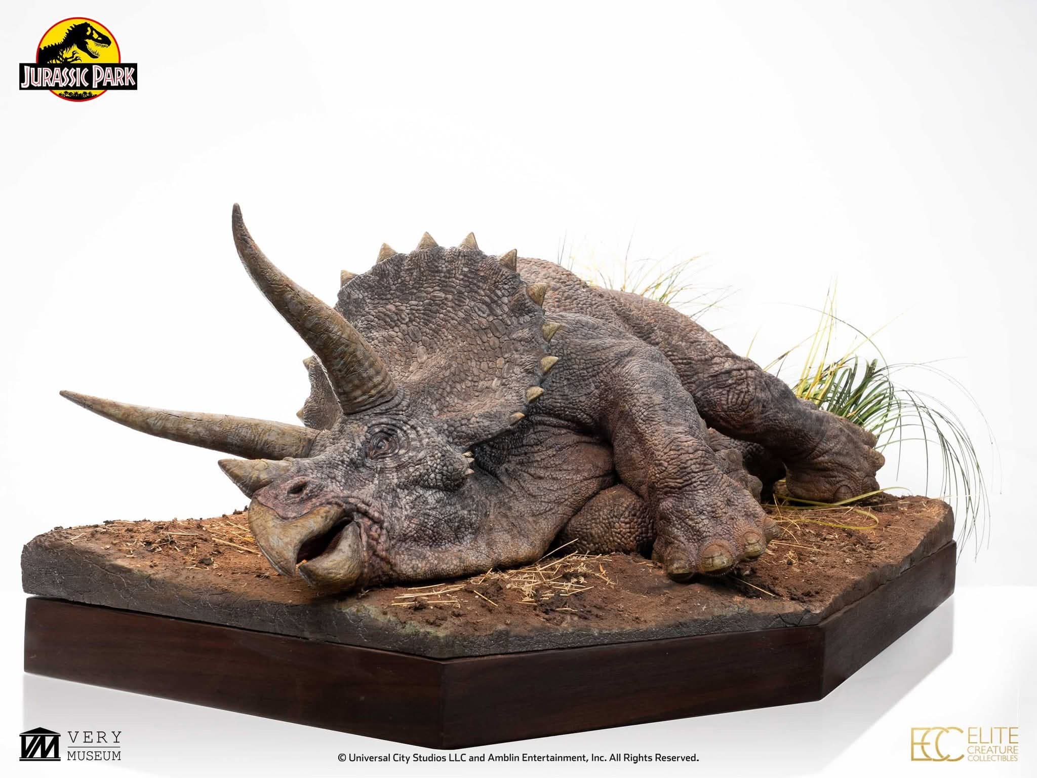 Sick Triceratops - Vue 11
