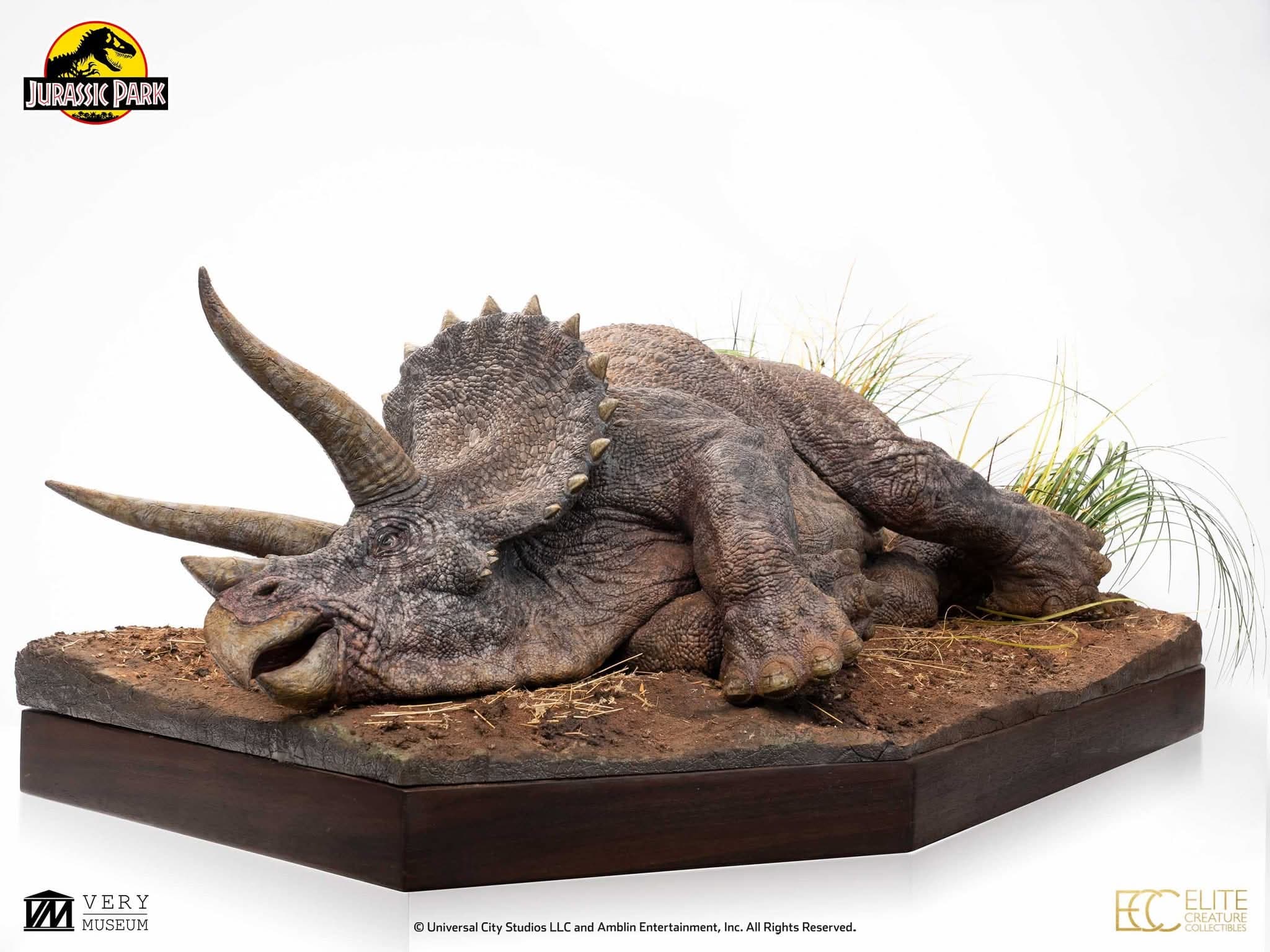 Sick Triceratops - Vue 12